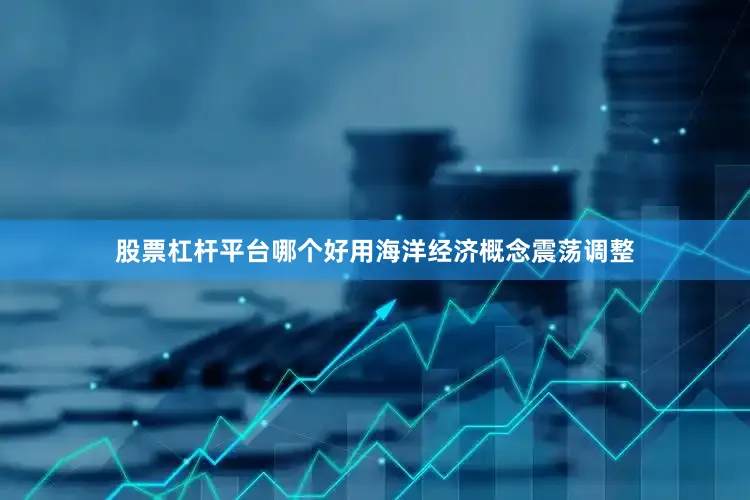 股票杠杆平台哪个好用海洋经济概念震荡调整